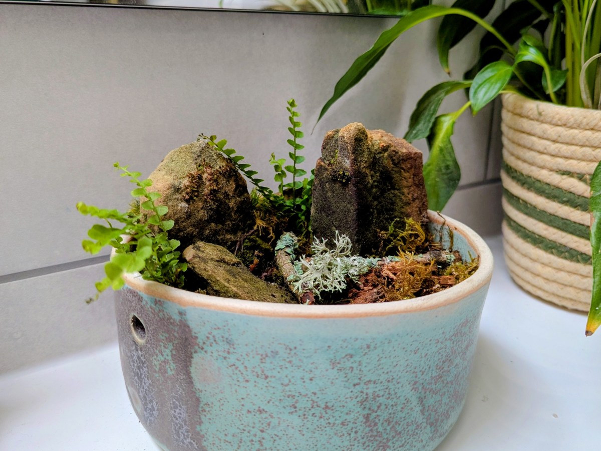 The Imperfect Pot